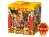 Красивая жизнь Фейерверк купить в Белинском | belinskij.salutsklad.ru