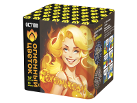 С огоньком! Фейерверк купить в Белинском | belinskij.salutsklad.ru