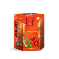 Тюльпаны Салют купить в Белинском | belinskij.salutsklad.ru