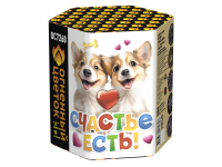 Счастье есть! Салют купить в Белинском | belinskij.salutsklad.ru