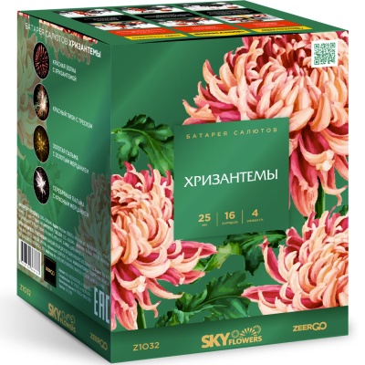 Хризантемы Фейерверк купить в Белинском | belinskij.salutsklad.ru